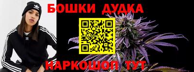 индика Аша